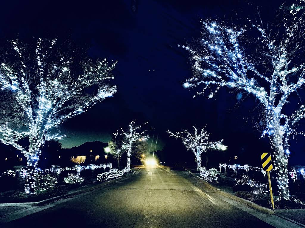 Tree wrap