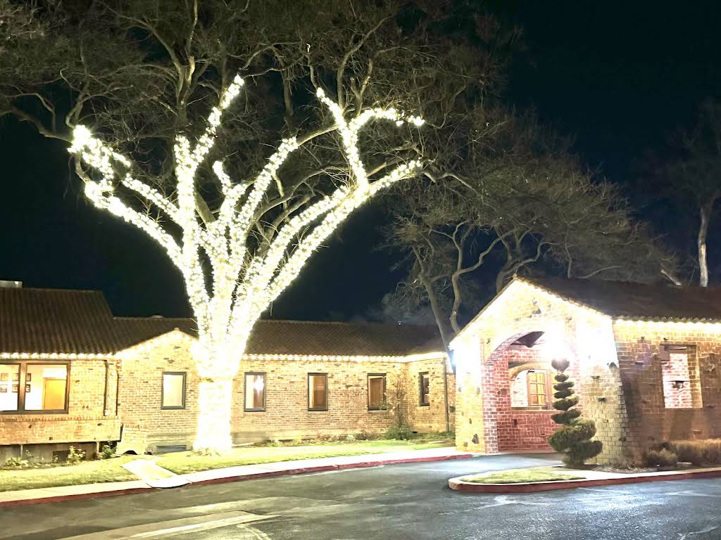 Lit tree